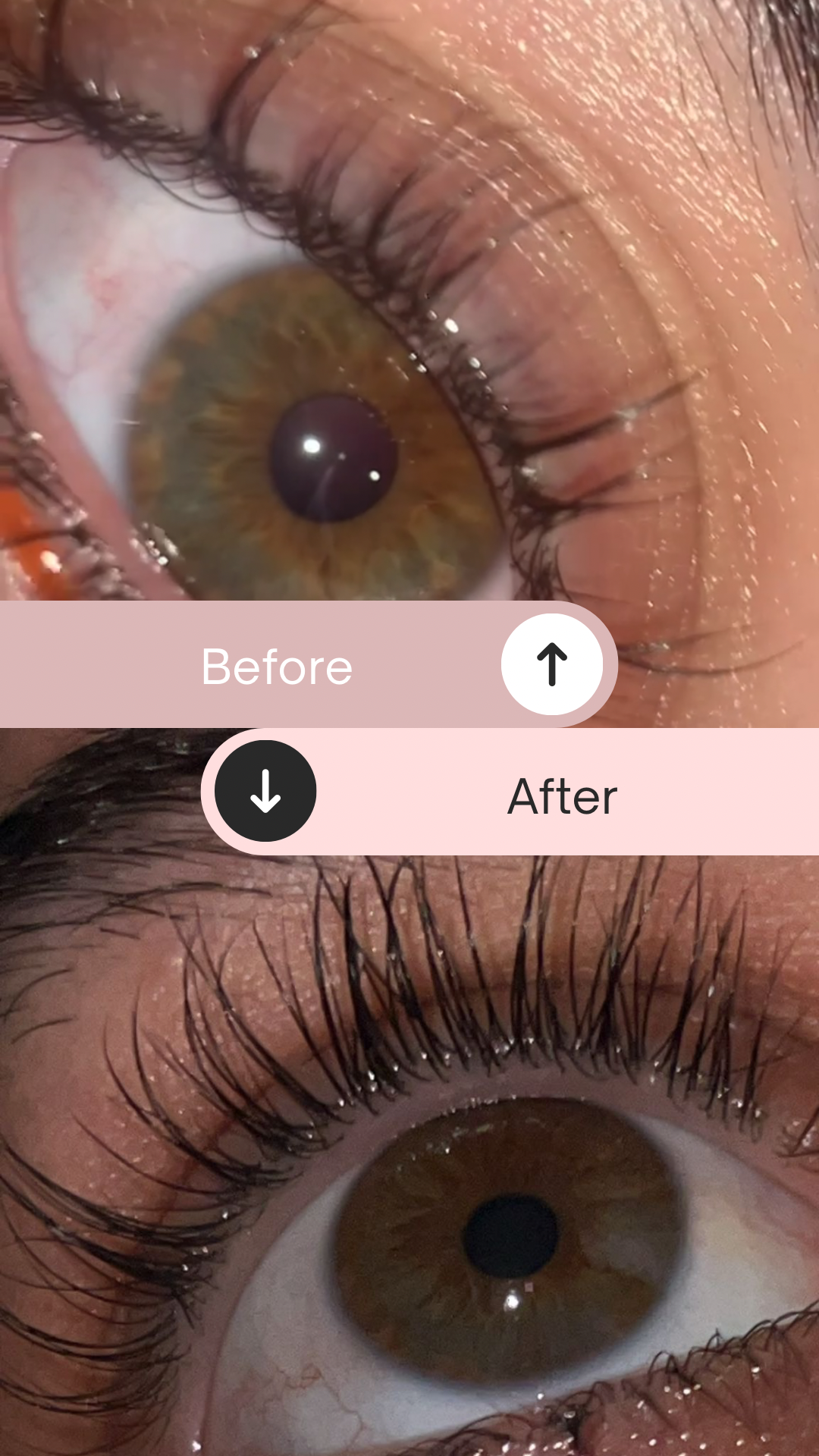 Oh my lashes